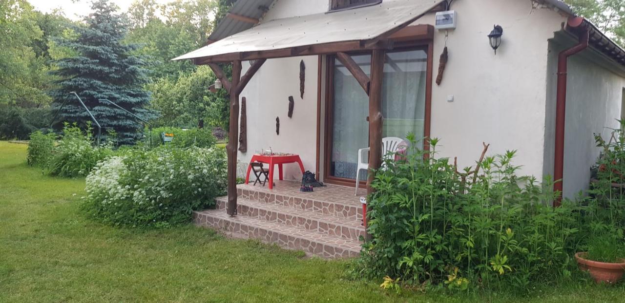 Letnisko Wiolinkowo Villa Sarnaki Ngoại thất bức ảnh